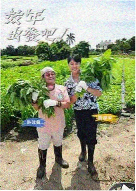 剧集访谈节目货架夜谈的录音棚现场
